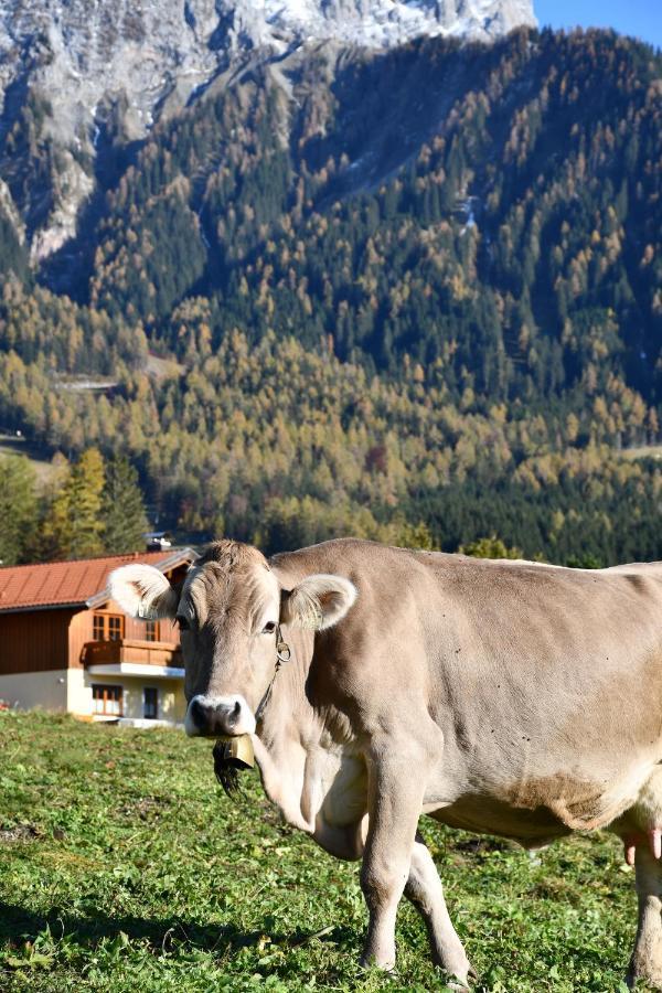Ferienwohnung Haus Sieben Zwerge Ehrwald Exterior foto